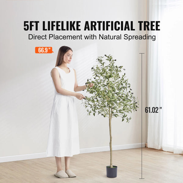 Authentic Olive Tree Home Decor